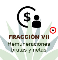 7A