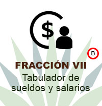 7B